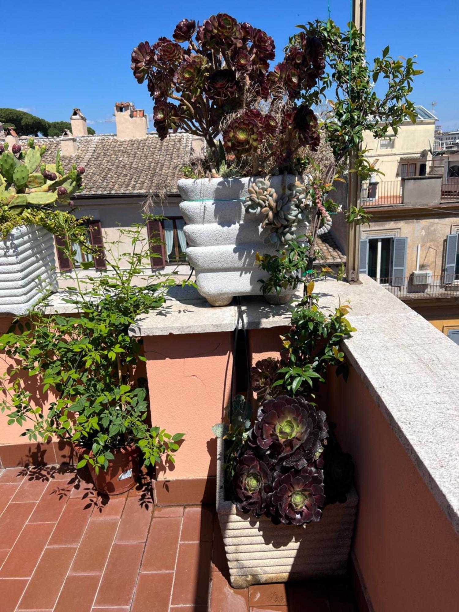 Spanish Steps Rome View المظهر الخارجي الصورة